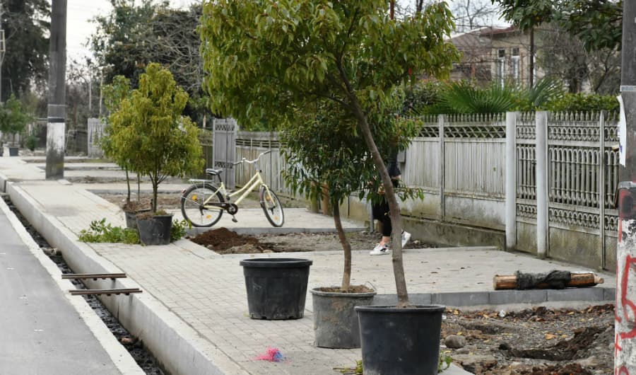 ზუგდიდში, თამარ მეფის ქუჩაზე გამწვანების სამუშაოები ჩატარდა