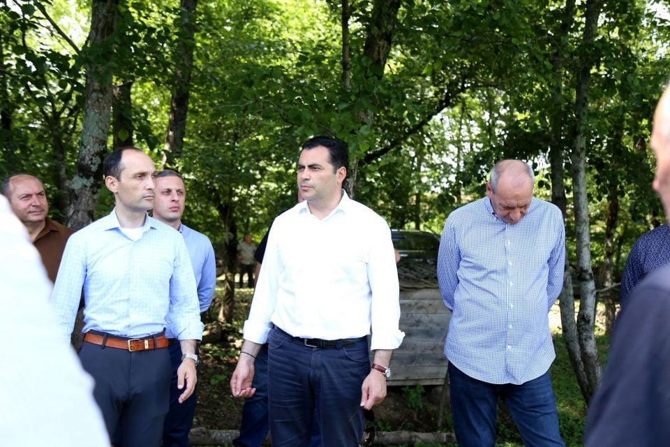 ალექსანდრე მოწერელია: ველოდებით თხილის კარგ მოსავალს, საუბარია 50 ათას ტონაზე მეტ მოსავალზე