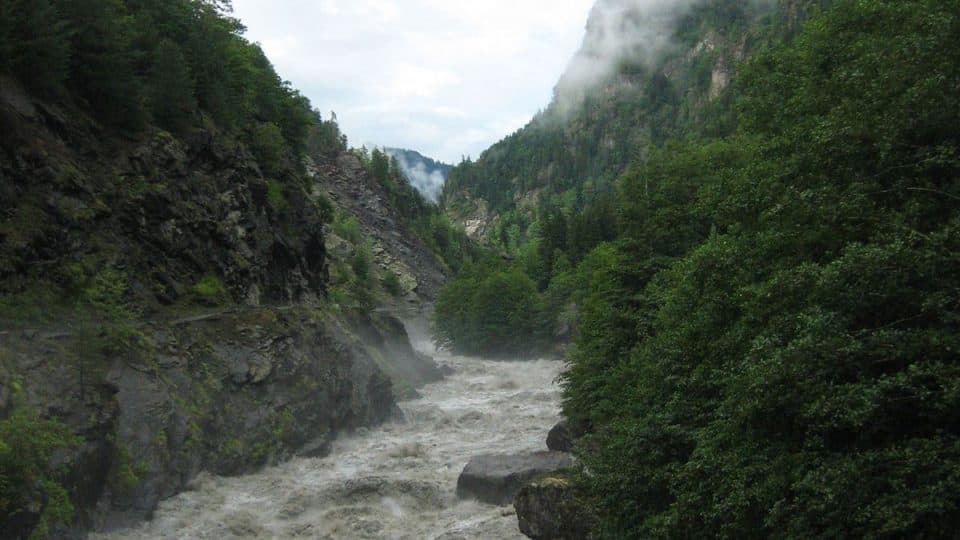 ზუგდიდის მუნიციპალიტეტის სოფელ რიყეში 2 ქალბატონს ეძებენ