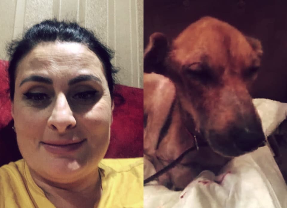 ზუგდიდელმა ექიმმა მარიკა მელიამ ქუჩაში მიტოვებულ ძაღლს სიცოცხლე შეუნარჩუნა