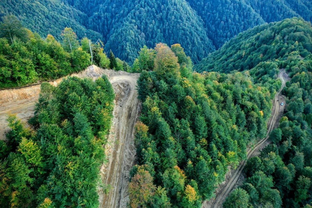 ტობავარჩხილის ტბამდე მისასვლელი საავტომობილო გზის რეაბილიტაცია აქტიურად მიმდინარეობს - image 2