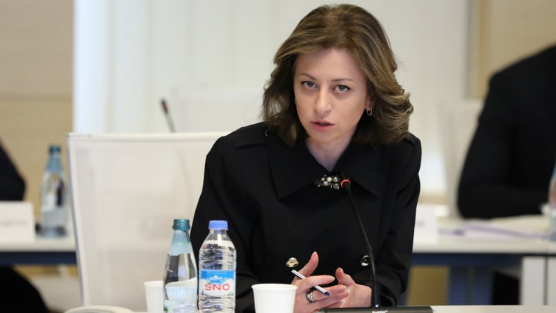 “გადაწყვეტილებას პრემიერ მინისტრი მიიღებს” – ტიკარაძე ახალი მთავრობის ჩამოყალიბებაზე