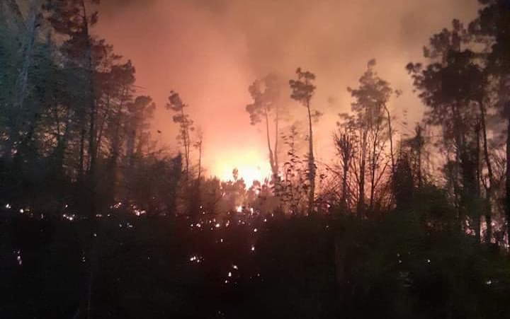 ამ წუთებში ხანძარია ყულევის ნავთობტერმინალთან ახლოს