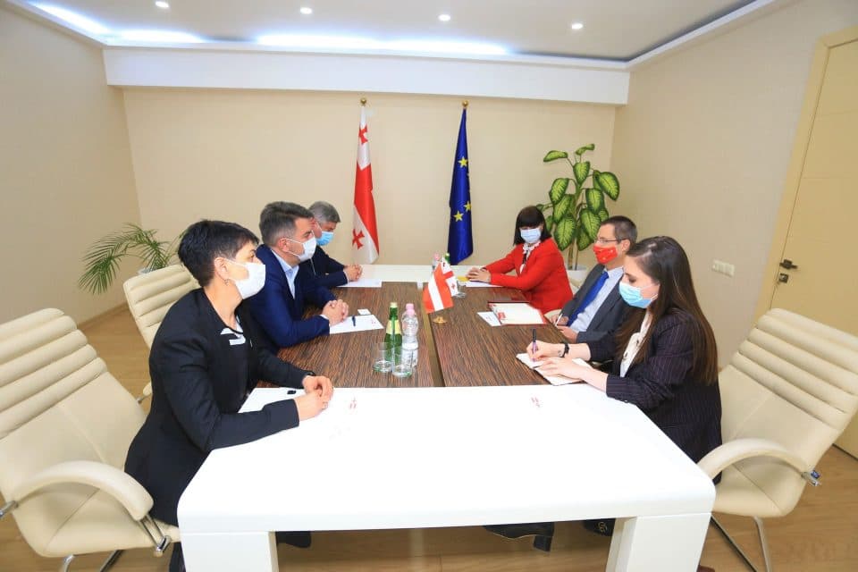 სამეგრელო-ზემო სვანეთის სახელმწიფო რწმუნებული ავსტრიის ელჩს შეხვდა