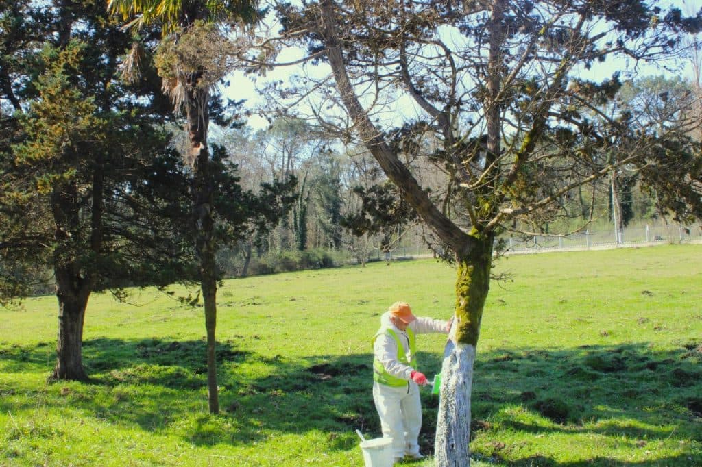 ფოთის მუნიციპალური სერვისების ცენტრი ქალაქის მასშტაბით სხვადასხვა სამუშაოებს ახორციელებს - image 7