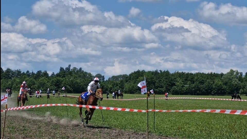 აღორძინების თასი – 2024