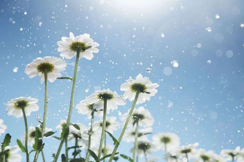 ევრო 2024-ის მეორე ფინალისტი დღეს გამოვლინდება