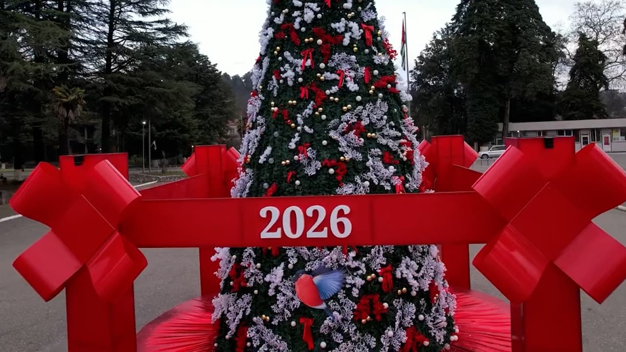 ოკუპირებულ გალში ნაძვის ხე აანთეს