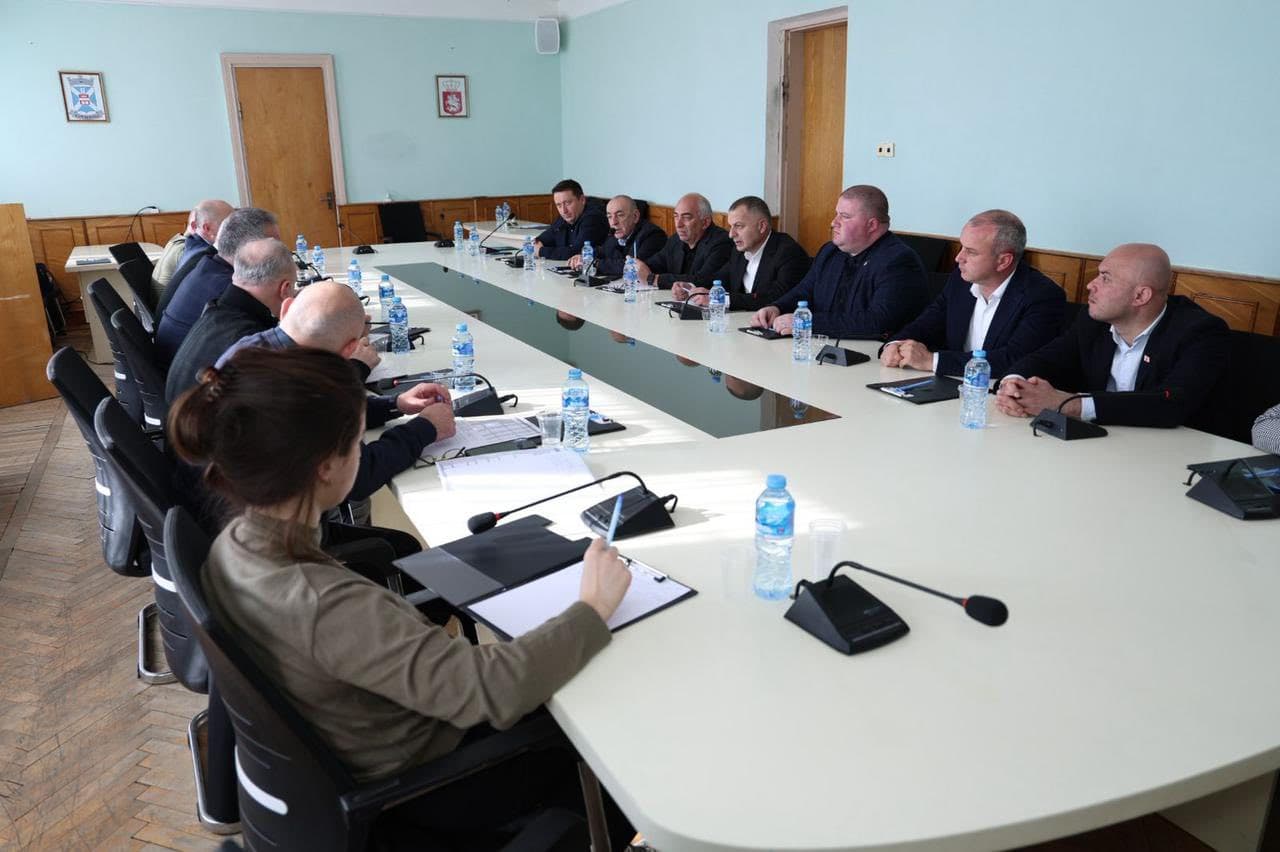 წალენჯიხაში მიმდინარე პროექტებს რეგიონული განვითარების მინისტრი გაეცნო - image 3