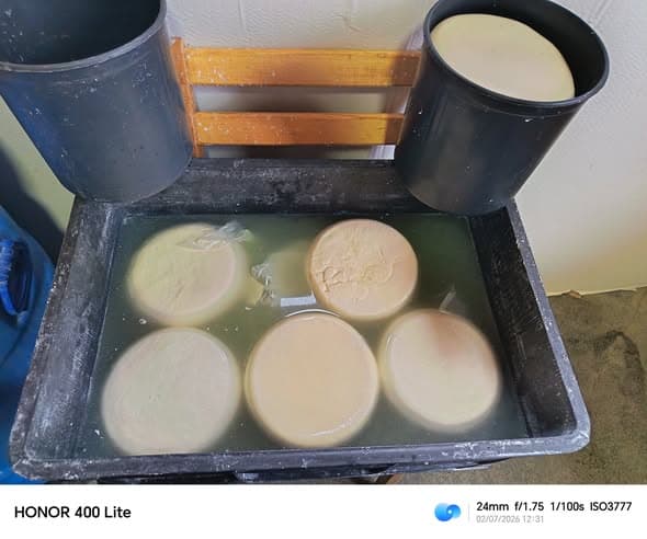 სამეგრელოში, ქვემო ქართლსა და იმერეთში რძის გადამამუშავებელი არალეგალური საწარმოები გამოვლინდა