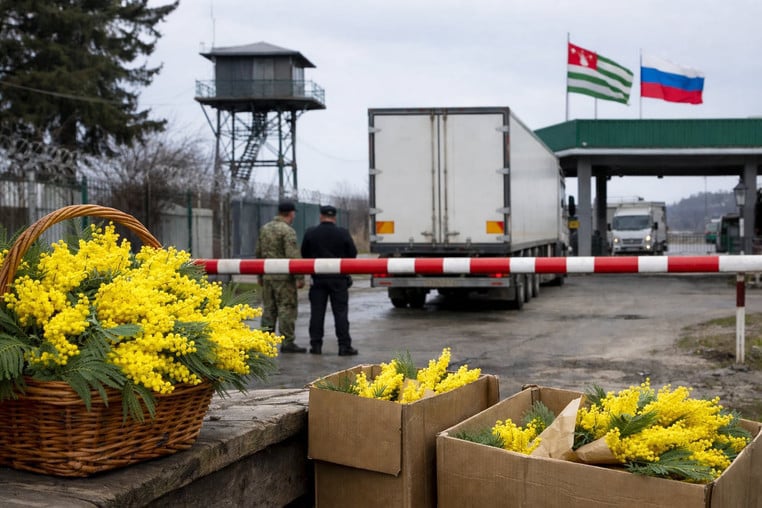 ოკუპირებული აფხაზეთიდან რუსეთში 300 ათას ტონაზე მეტი მიმოზა შევიდა