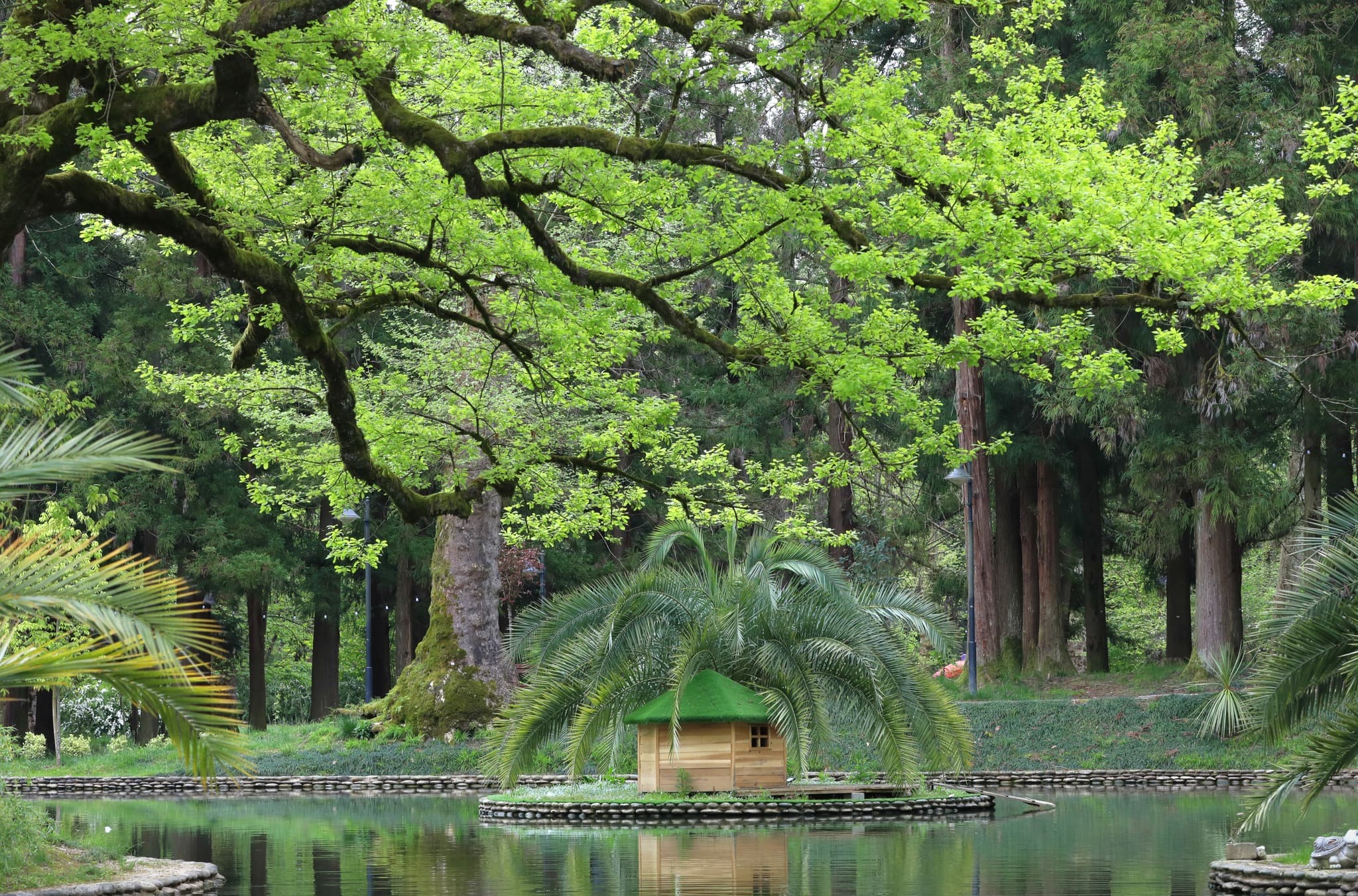 ფოტორეპორტაჟი ზუგდიდის ბოტანიკური ბაღიდან - image 2