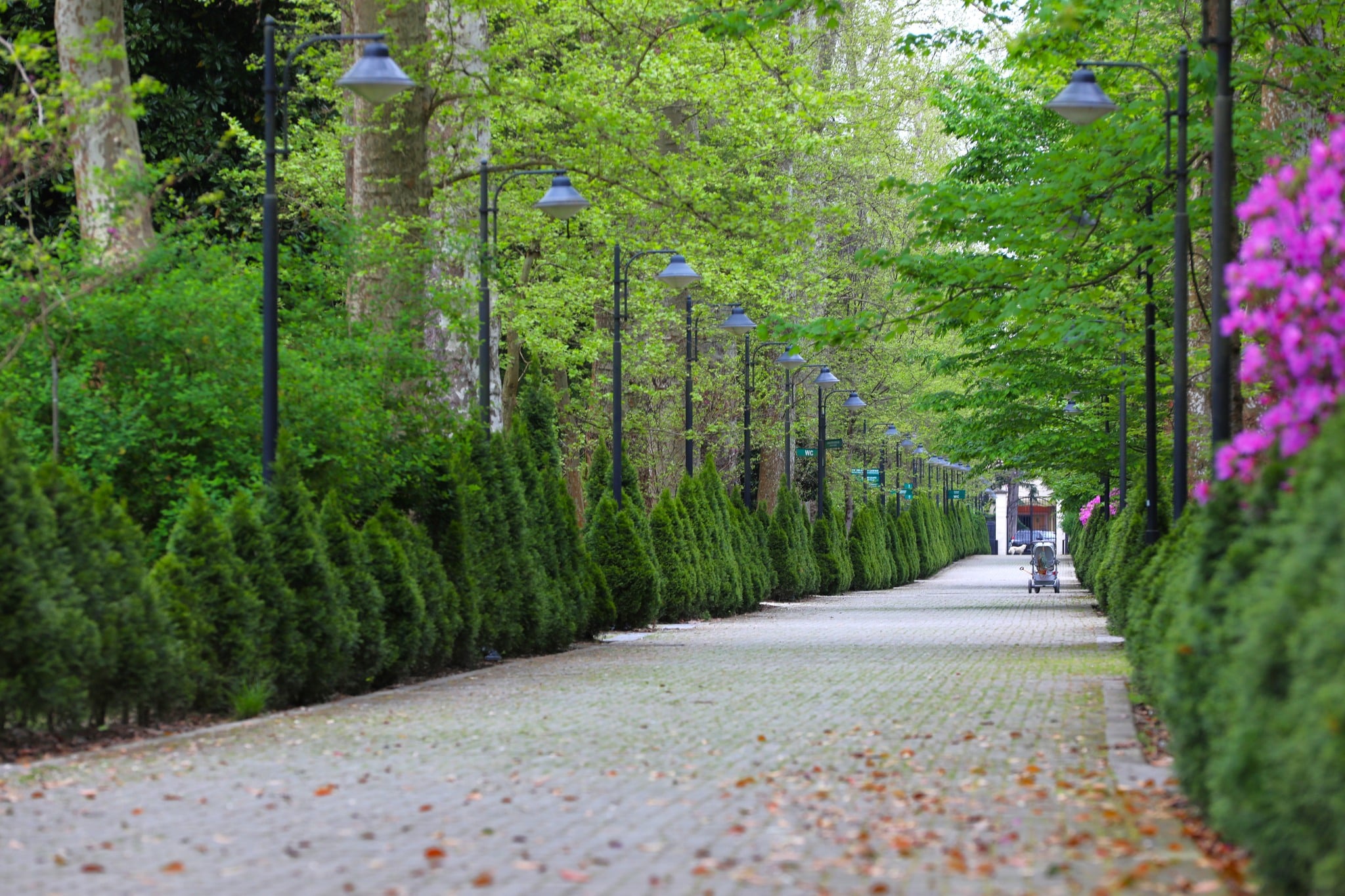 ფოტორეპორტაჟი ზუგდიდის ბოტანიკური ბაღიდან